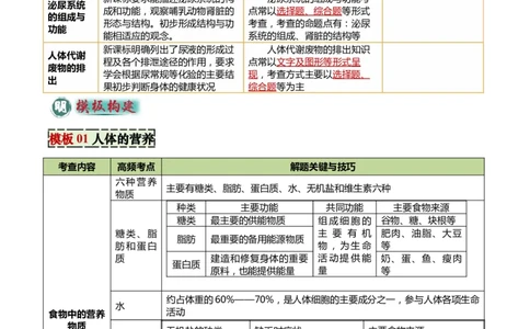 专题04人体生理与健康（一）（4大答题模板）（解析版）_02中考总复习（2026版更新中）_08-生物-中考总复习_2025中考复习资料_2025年中考生物答题方法模板