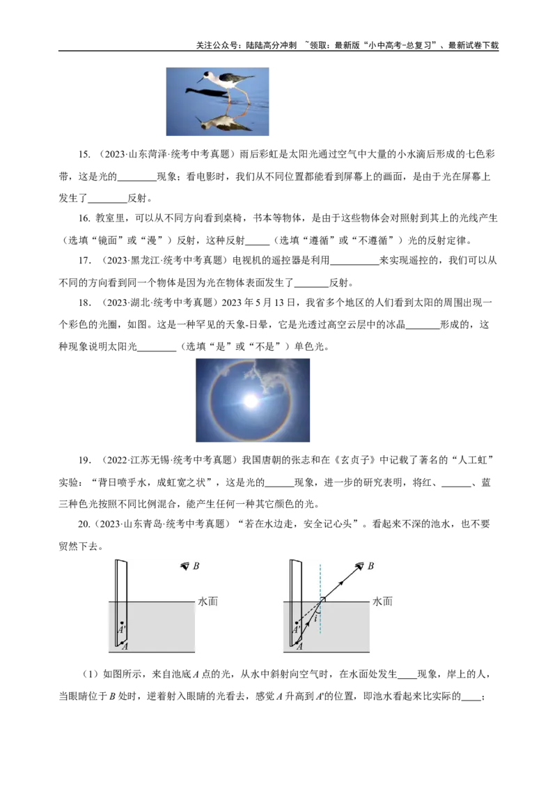 专题04光现象（真题训练）原卷版）_02中考总复习（2026版更新中）_04-物理-中考总复习_2024年中考复习资料_一轮复习_更新2024年中考物理一轮复习精品资料_配套练习