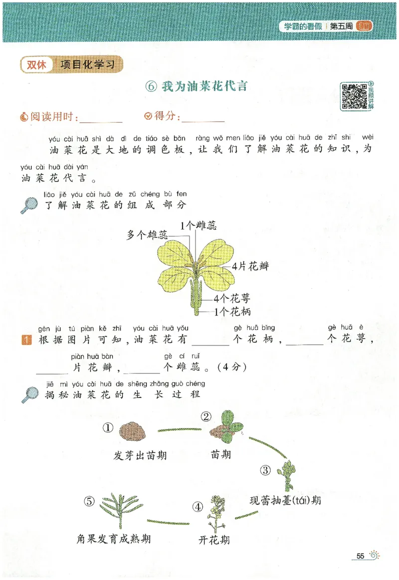 语文（一升二）学霸的暑假语文阅读集训25年_25年1-6年级语文《学霸暑假语文阅读集训》
