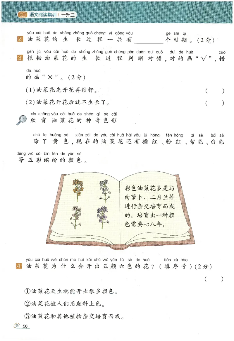 语文（一升二）学霸的暑假语文阅读集训25年_25年1-6年级语文《学霸暑假语文阅读集训》