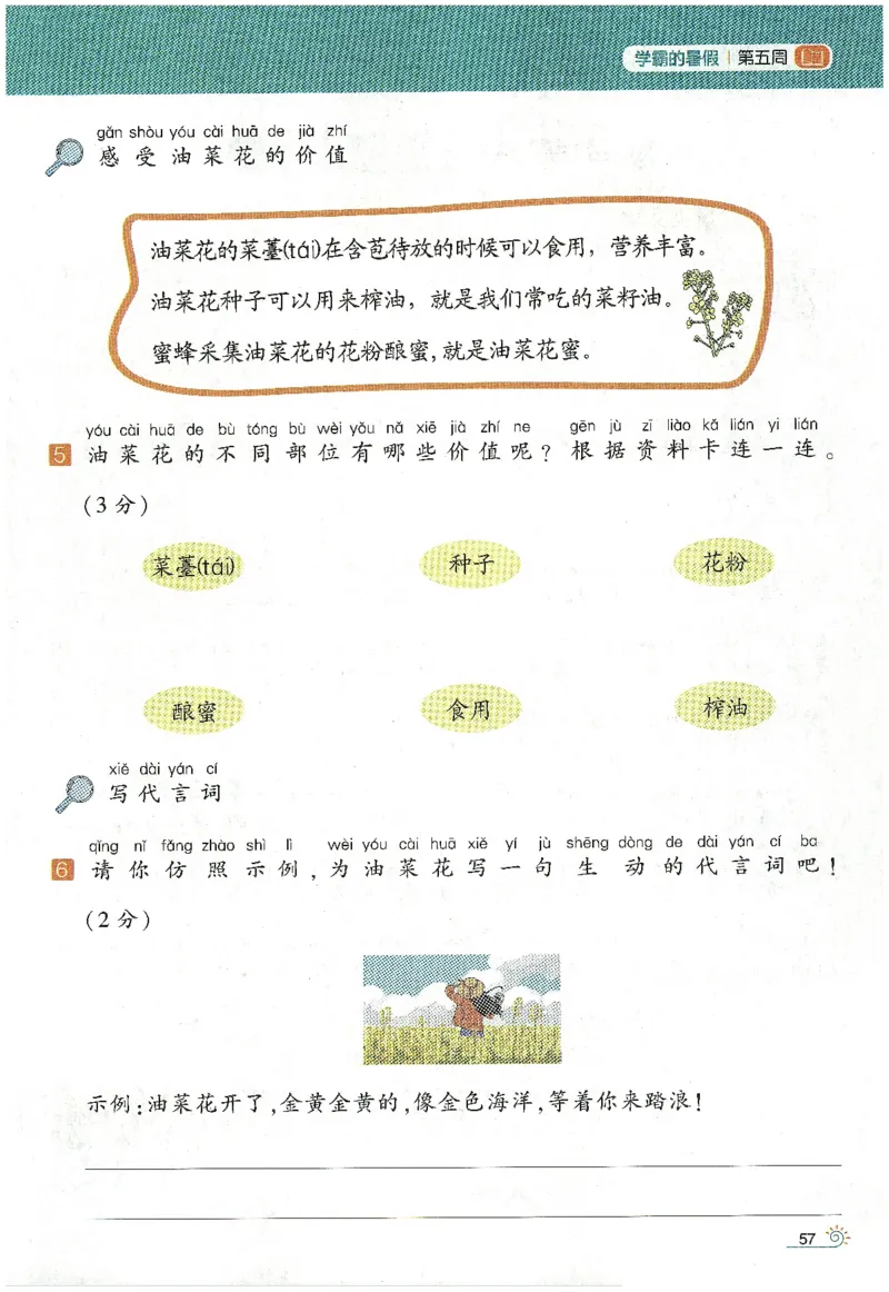 语文（一升二）学霸的暑假语文阅读集训25年_25年1-6年级语文《学霸暑假语文阅读集训》