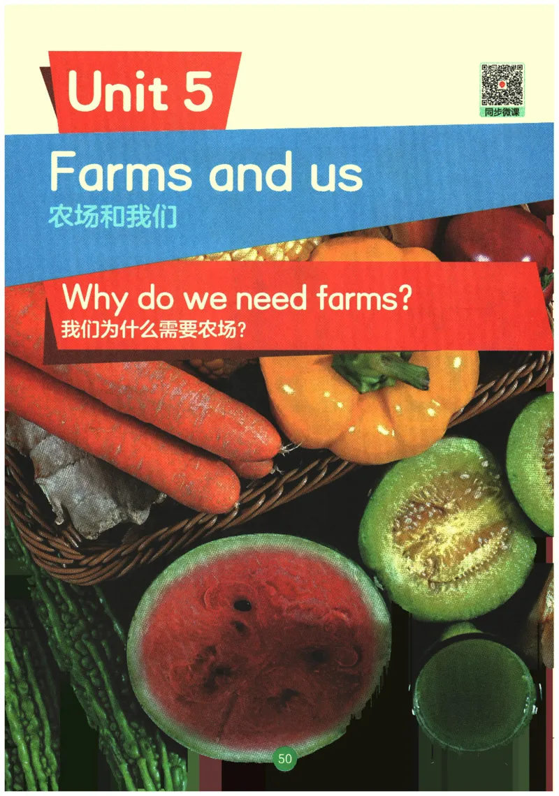 2026春《课堂笔记》英语PEP4下_4下-新英语人教PEP版（2026持续更新）_10英语笔记（全册）带音频