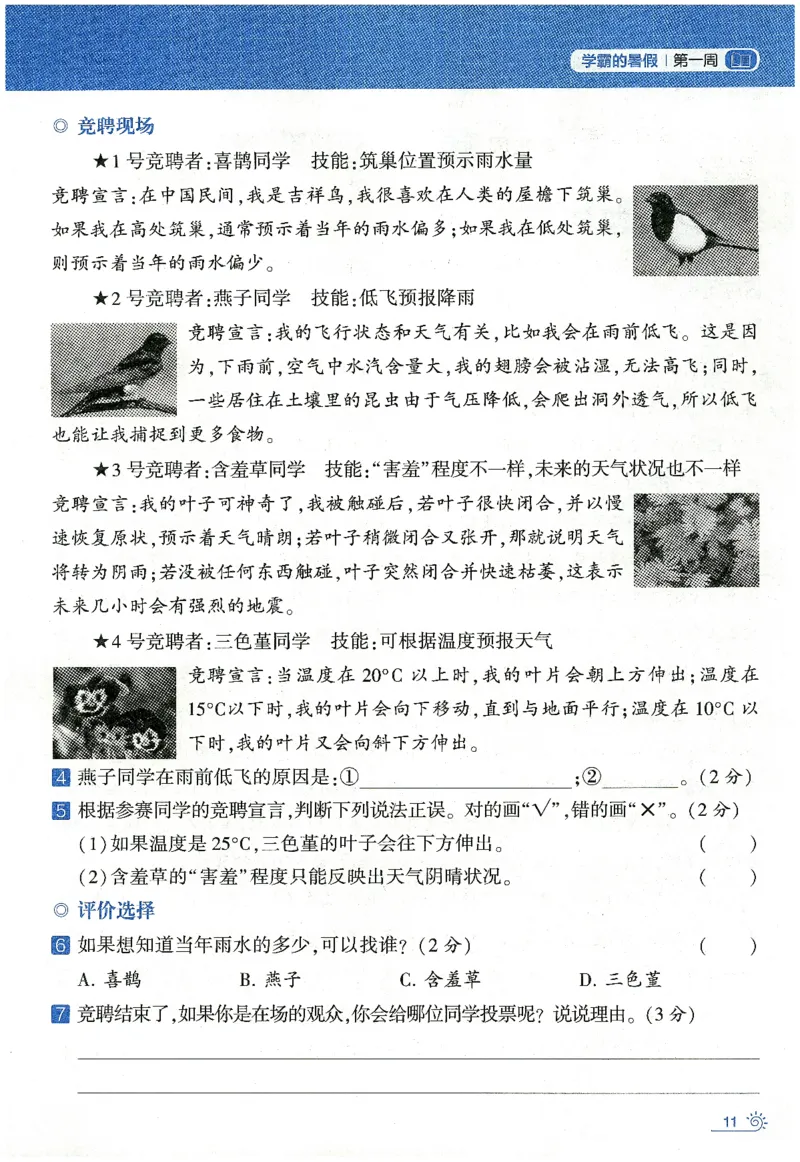 语文（三升四）学霸的暑假语文阅读集训25年_25年1-6年级语文《学霸暑假语文阅读集训》