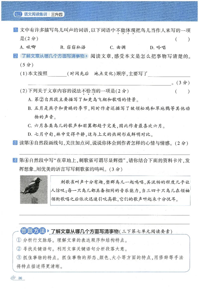 语文（三升四）学霸的暑假语文阅读集训25年_25年1-6年级语文《学霸暑假语文阅读集训》