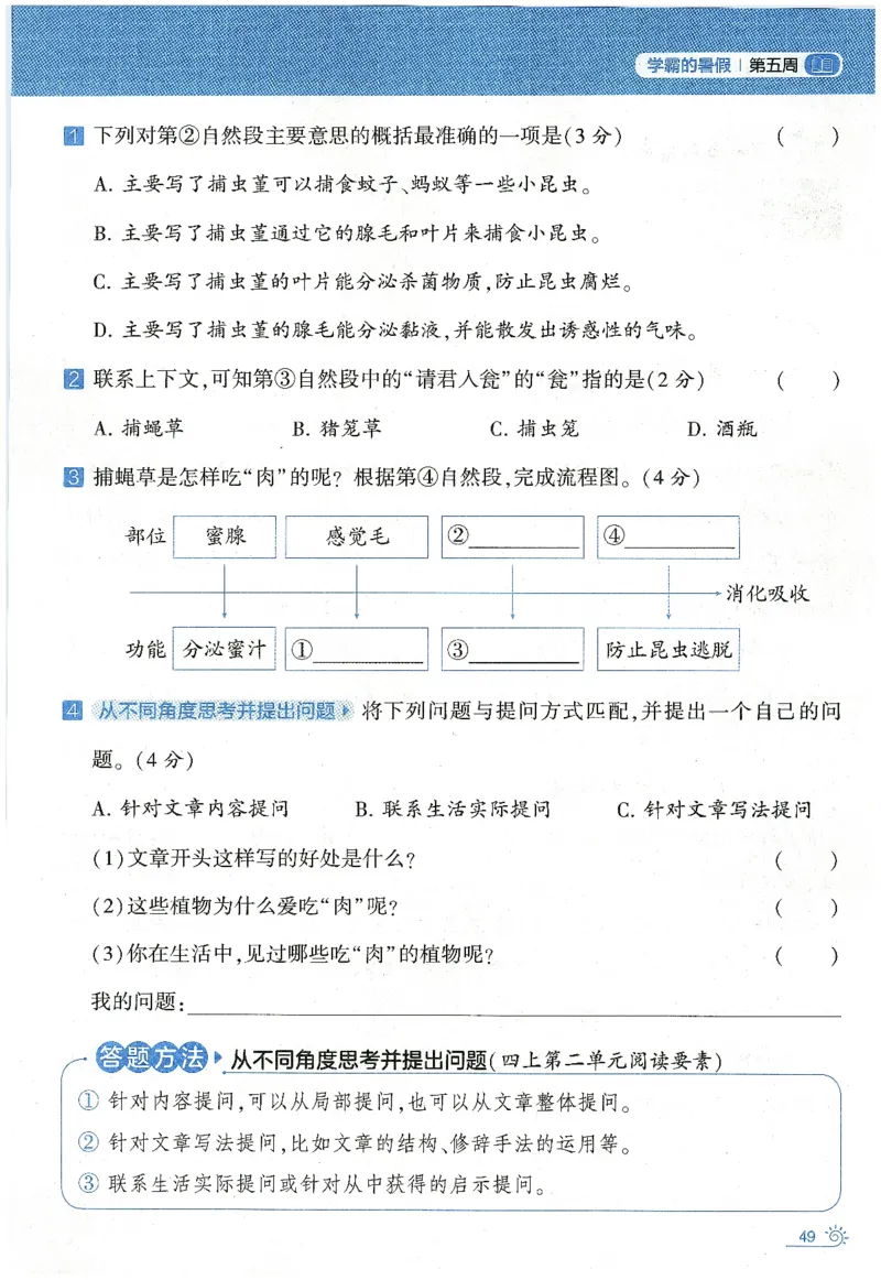 语文（三升四）学霸的暑假语文阅读集训25年_25年1-6年级语文《学霸暑假语文阅读集训》