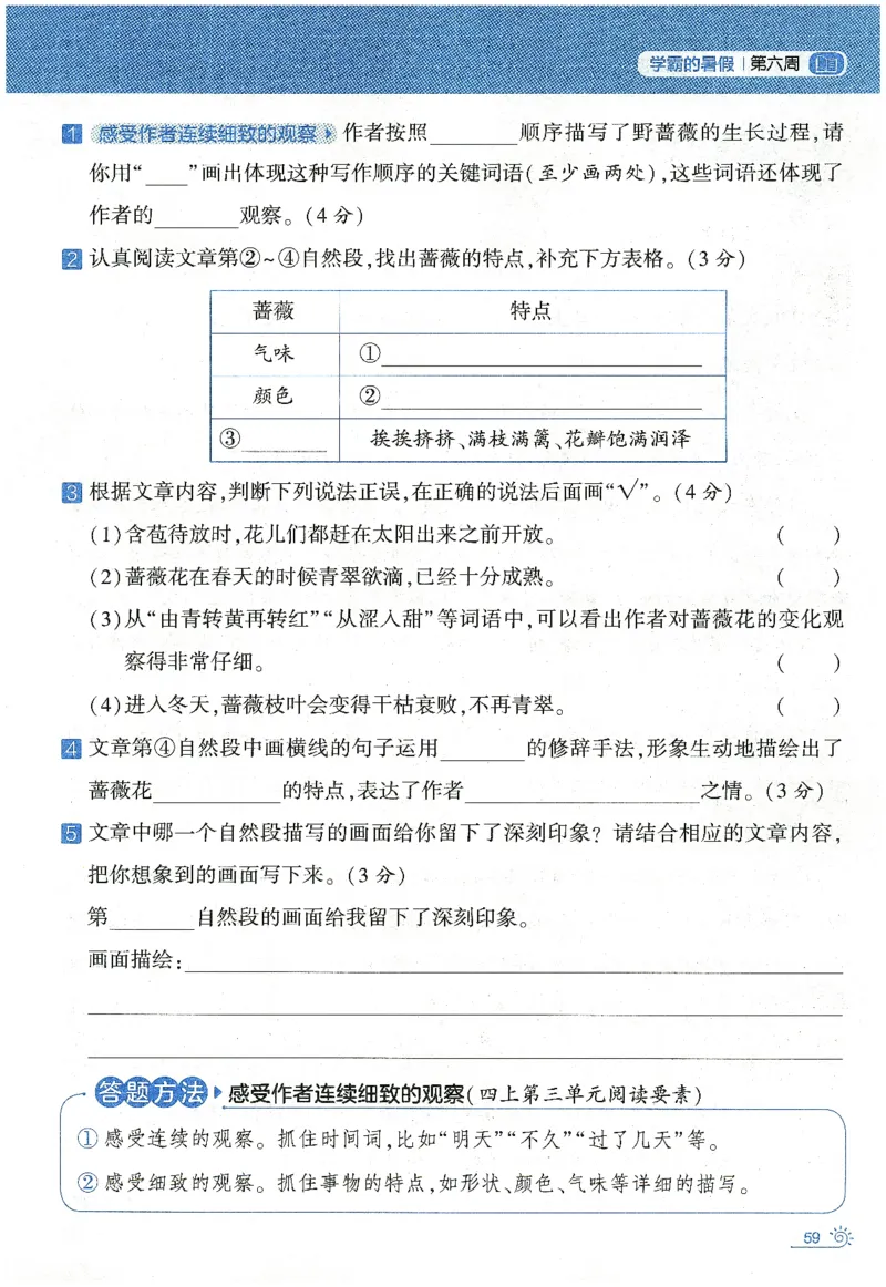 语文（三升四）学霸的暑假语文阅读集训25年_25年1-6年级语文《学霸暑假语文阅读集训》