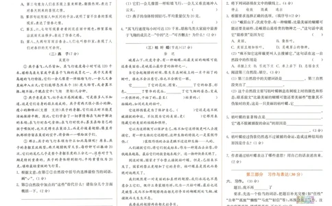 拔尖特训六年级上册语文人教版拔尖测评_25秋《拔尖特训》小学语数英各版本_1-6年级语文人教版上册25秋《拔尖特训》