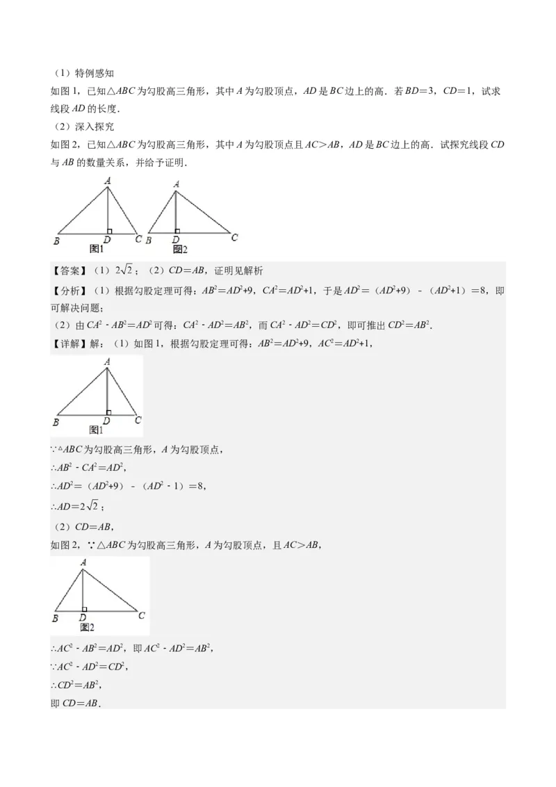 1.4讲解题技巧专题：勾股定理与面积问题、方程思想（解析版）_北师大初中数学_8上-北师大版初中数学_旧版_05习题试卷_帮课堂2023-2024学年八年级数学上册同步学与练（北师大版）
