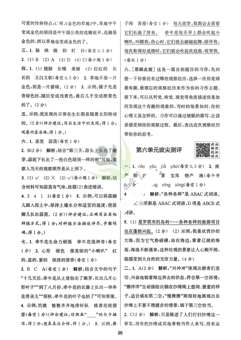 语文3年级上册：解析册_25秋《拔尖特训》小学语数英各版本_1-6年级语文人教版上册25秋《拔尖特训》_三年级语文人教版上册25秋《拔尖特训》