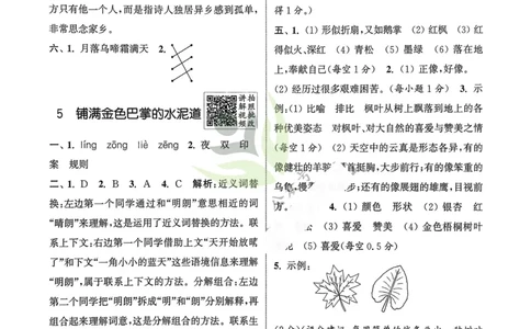 语文3年级上册：解析册_25秋《拔尖特训》小学语数英各版本_1-6年级语文人教版上册25秋《拔尖特训》_三年级语文人教版上册25秋《拔尖特训》