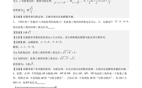 1.5讲易错易混集训：利用勾股定理求解易错（解析版）_北师大初中数学_8上-北师大版初中数学_旧版_05习题试卷_帮课堂2023-2024学年八年级数学上册同步学与练（北师大版）