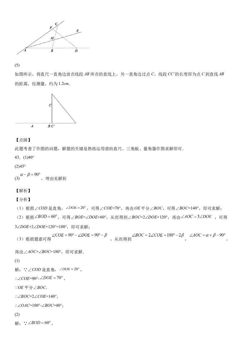 2.1两条直线的位置关系-七年级数学下册《考点&bull;题型&bull;技巧》精讲与精练高分突破（北师大版）_北师大初中数学_7下-北师大版初中数学_7下-初中数学北师大版（旧版）赠送_06专项讲练