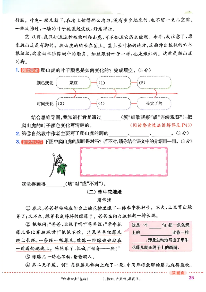 四年级语文人教版上册25秋《拔尖特训》_25秋《拔尖特训》小学语数英各版本_1-6年级语文人教版上册25秋《拔尖特训》_四年级语文人教版上册25秋《拔尖特训》