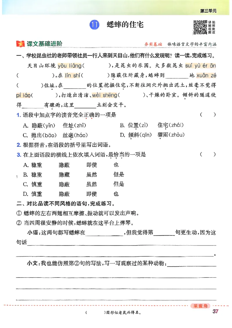 四年级语文人教版上册25秋《拔尖特训》_25秋《拔尖特训》小学语数英各版本_1-6年级语文人教版上册25秋《拔尖特训》_四年级语文人教版上册25秋《拔尖特训》