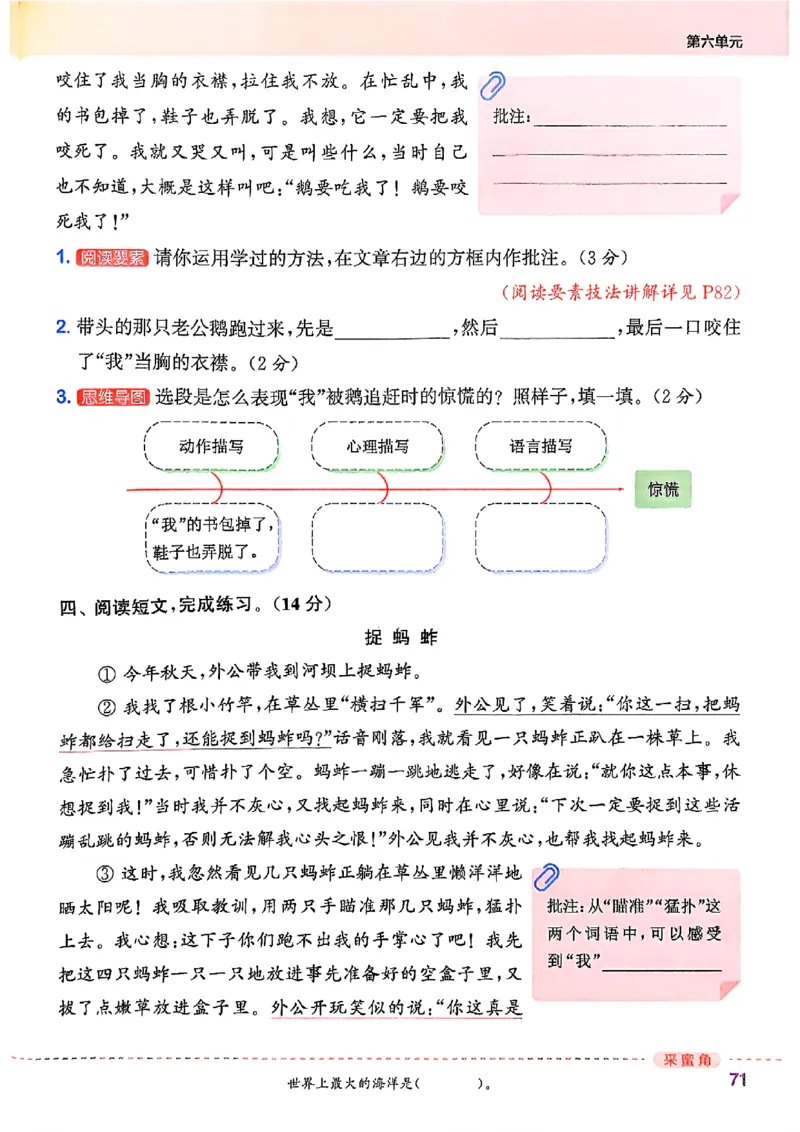 四年级语文人教版上册25秋《拔尖特训》_25秋《拔尖特训》小学语数英各版本_1-6年级语文人教版上册25秋《拔尖特训》_四年级语文人教版上册25秋《拔尖特训》
