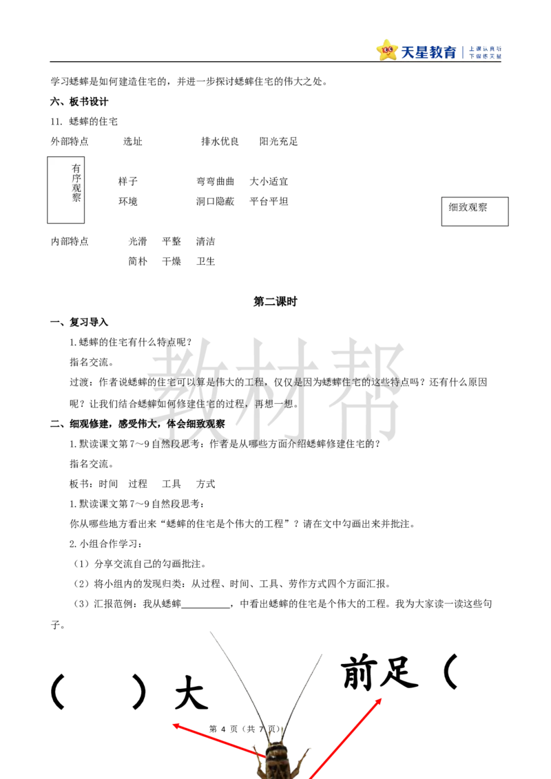 教学设计11《蟋蟀的住宅》_25秋《教材帮练习帮》系列_2026版小学《教材帮整书课件》1-6年级上册（语文）（人教版）_四上_课件+教案统编版语文四（上）第3单元-2025秋最新教材版
