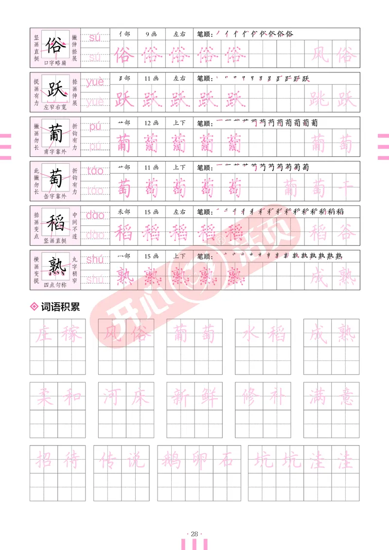 开心暑假活页字帖-3升4_25秋《开心活页》系列_25年语文《开心暑假活页字帖》