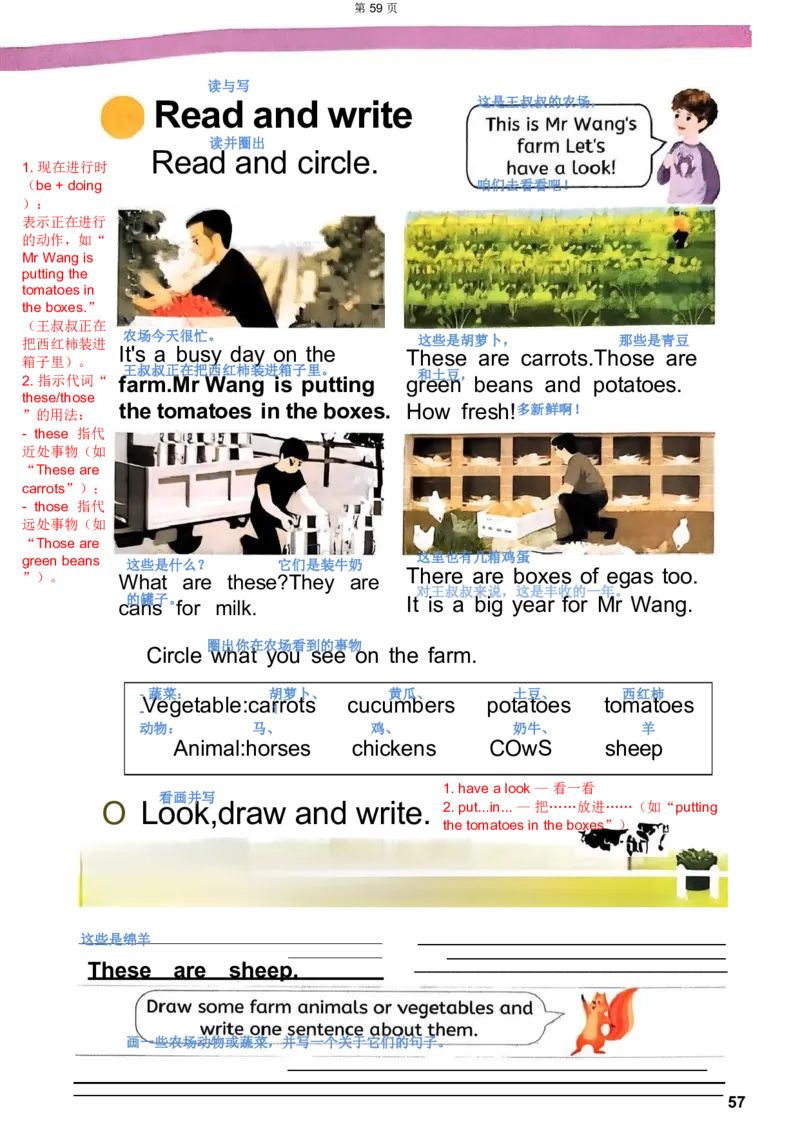 人教4下完成(2)(2)(1)_4下-新英语人教PEP版（2026持续更新）_10英语笔记（全册）带音频