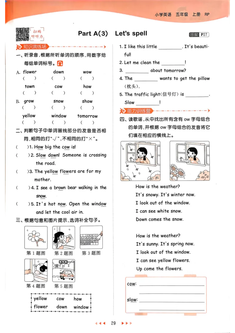 五年级英语上册人教PEP版24秋《53天天练》_26春四年级上下册人教版_四上英语合集人教版PEP英语四年级上册新教材（教学视频+课件+动画+音频+练习+教案）_17练习资料_《53天天练》