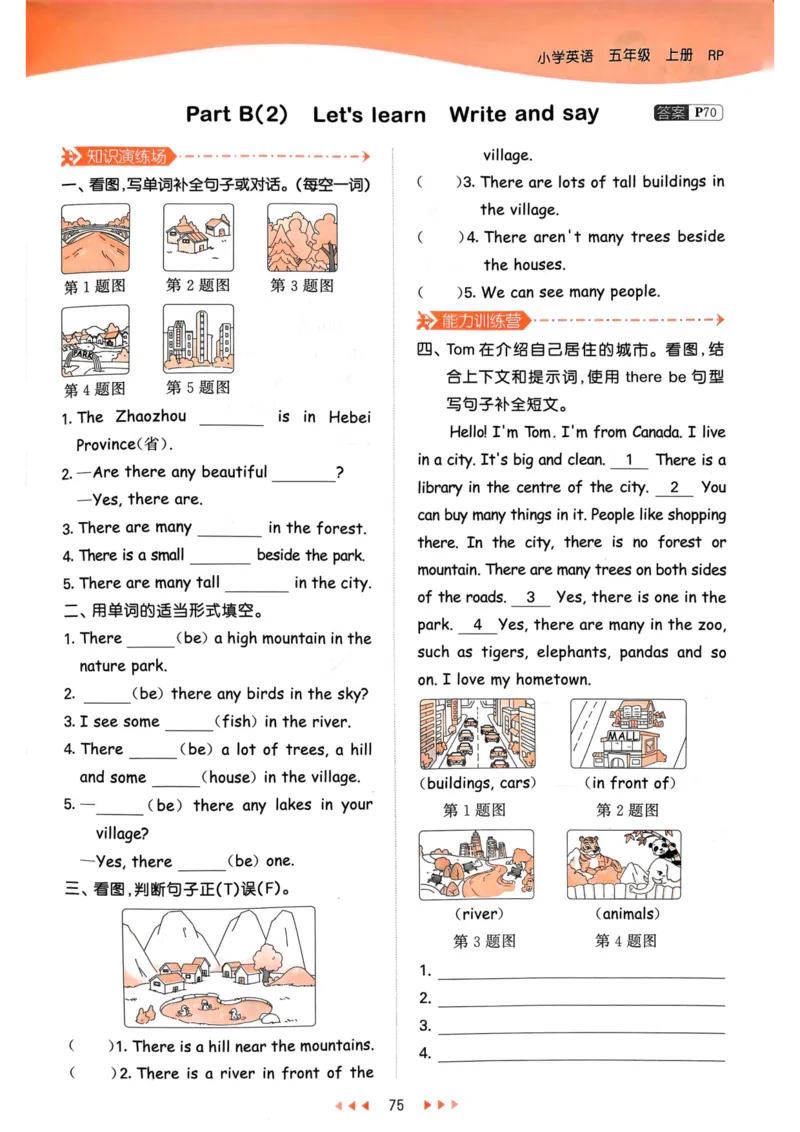 五年级英语上册人教PEP版24秋《53天天练》_26春四年级上下册人教版_四上英语合集人教版PEP英语四年级上册新教材（教学视频+课件+动画+音频+练习+教案）_17练习资料_《53天天练》