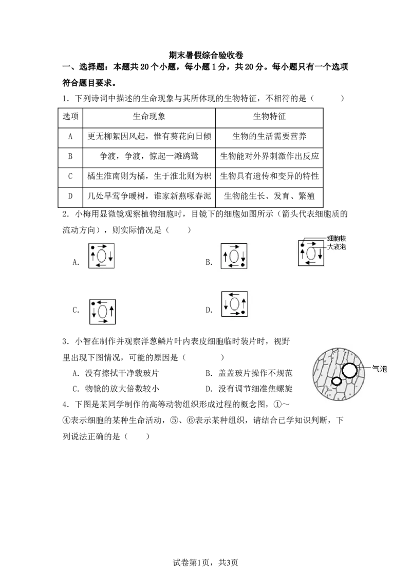 生物预备新初一期末暑假综合验收卷_25秋《一本》系列_25版一本系列_一本预备新初一小四门（政史生地）25年