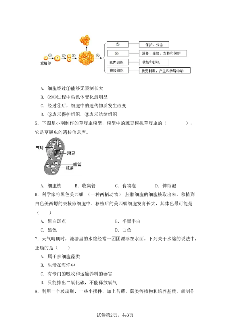 生物预备新初一期末暑假综合验收卷_25秋《一本》系列_25版一本系列_一本预备新初一小四门（政史生地）25年