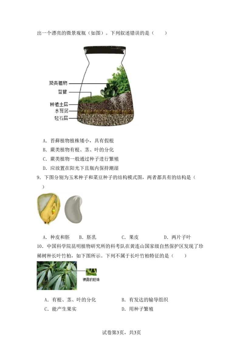 生物预备新初一期末暑假综合验收卷_25秋《一本》系列_25版一本系列_一本预备新初一小四门（政史生地）25年