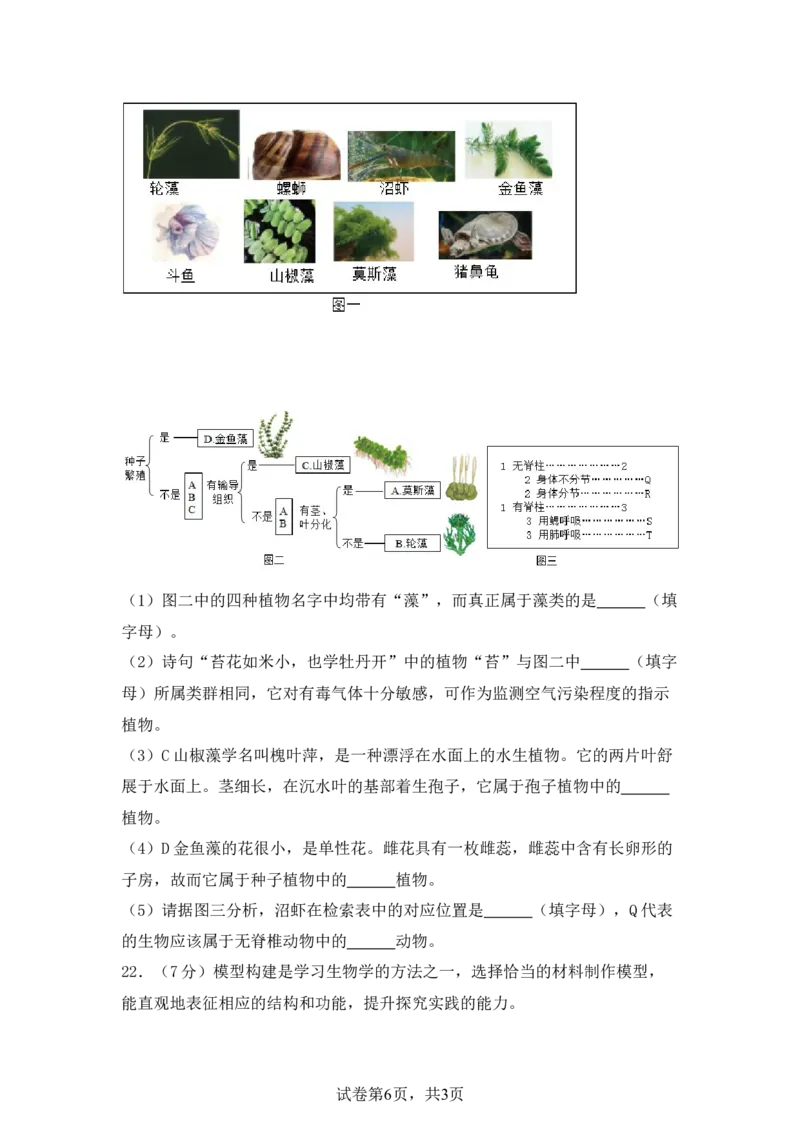 生物预备新初一期末暑假综合验收卷_25秋《一本》系列_25版一本系列_一本预备新初一小四门（政史生地）25年