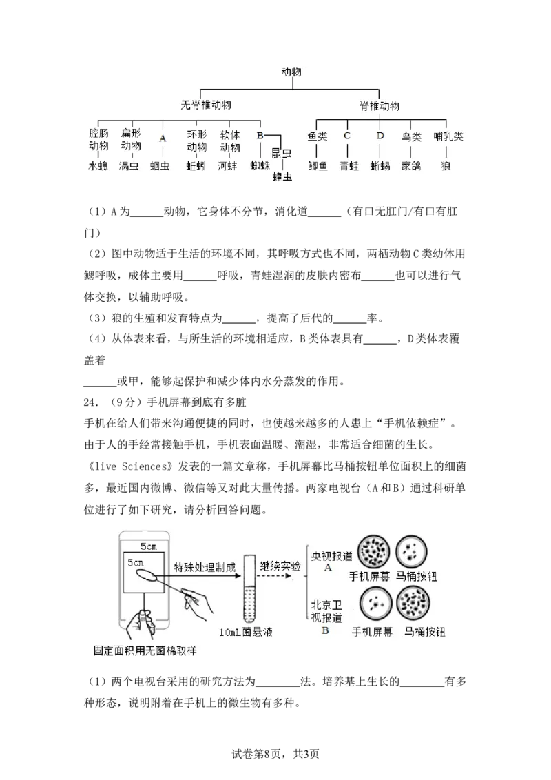 生物预备新初一期末暑假综合验收卷_25秋《一本》系列_25版一本系列_一本预备新初一小四门（政史生地）25年