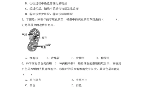 生物预备新初一期末暑假综合验收卷_25秋《一本》系列_25版一本系列_一本预备新初一小四门（政史生地）25年