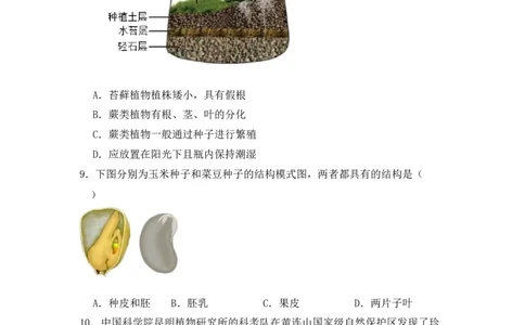 生物预备新初一期末暑假综合验收卷_25秋《一本》系列_25版一本系列_一本预备新初一小四门（政史生地）25年