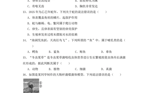 生物预备新初一期末暑假综合验收卷_25秋《一本》系列_25版一本系列_一本预备新初一小四门（政史生地）25年