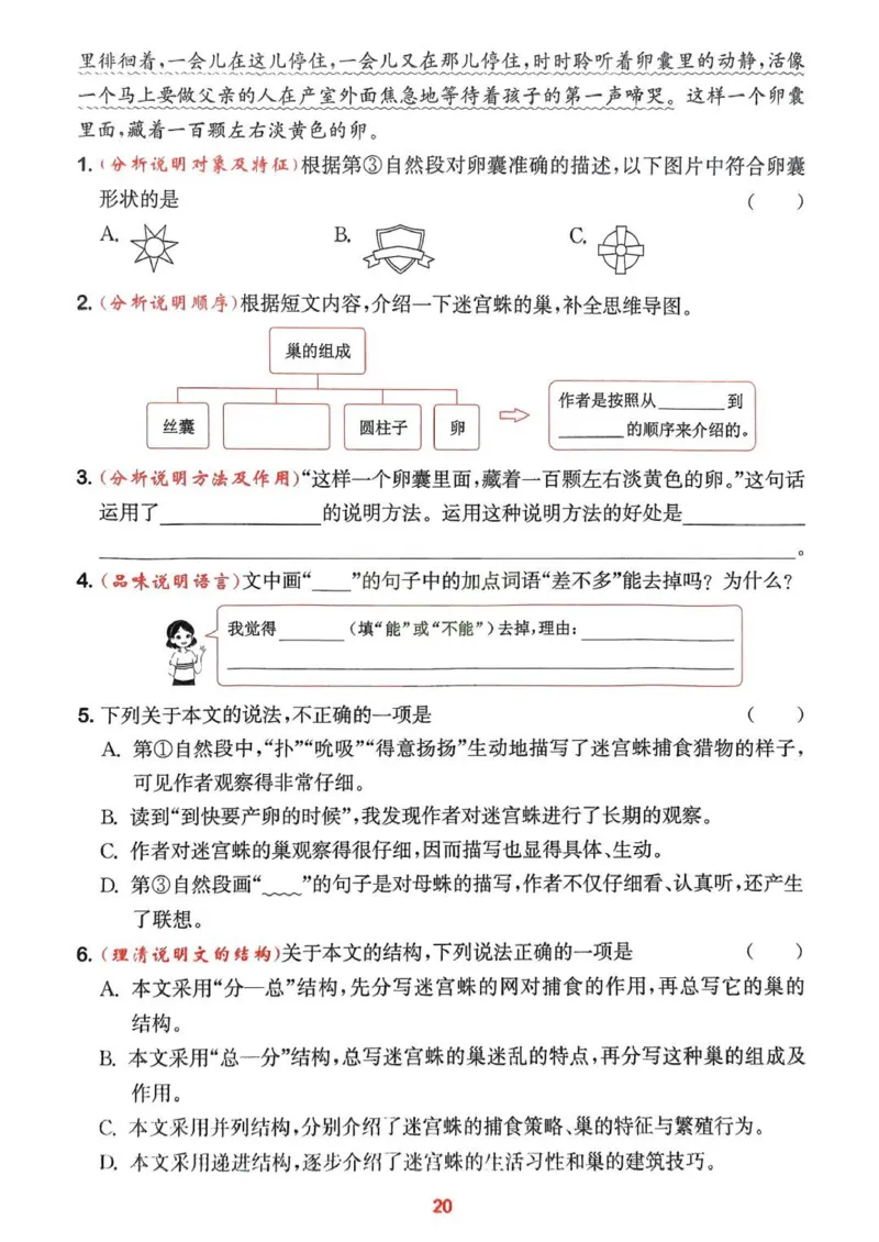 四年级语文人教版上册25秋《拔尖特训》阅读力拔尖攻略_25秋《拔尖特训》小学语数英各版本_1-6年级语文人教版上册25秋《拔尖特训》_四年级语文人教版上册25秋《拔尖特训》