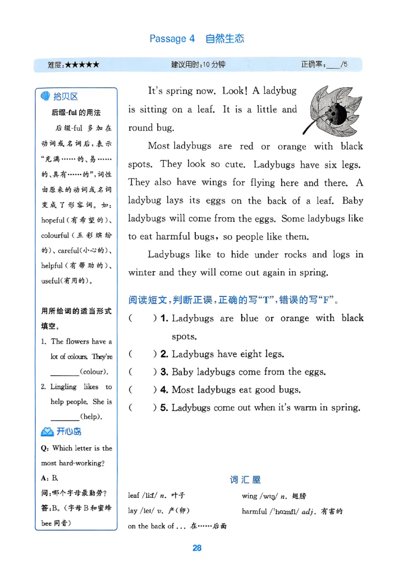 四年级英语上册人教PEP版25秋《拔尖特训》阅读攻略_25秋《拔尖特训》小学语数英各版本_3-6年级英语上册人教PEP版25秋《拔尖特训》_四年级英语上册人教PEP版25秋《拔尖特训》