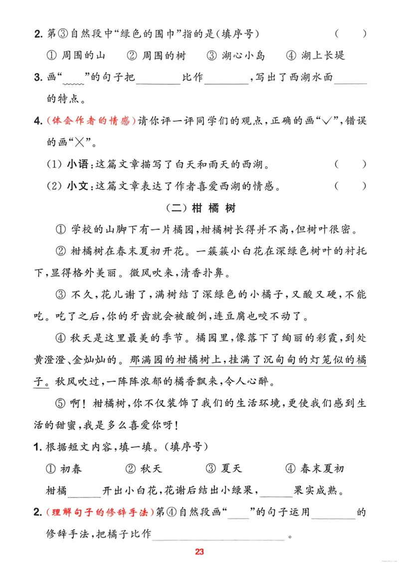 语文2年级上册：阅读力拔尖攻略_25秋《拔尖特训》小学语数英各版本_1-6年级语文人教版上册25秋《拔尖特训》_二年级语文人教版上册25秋《拔尖特训》