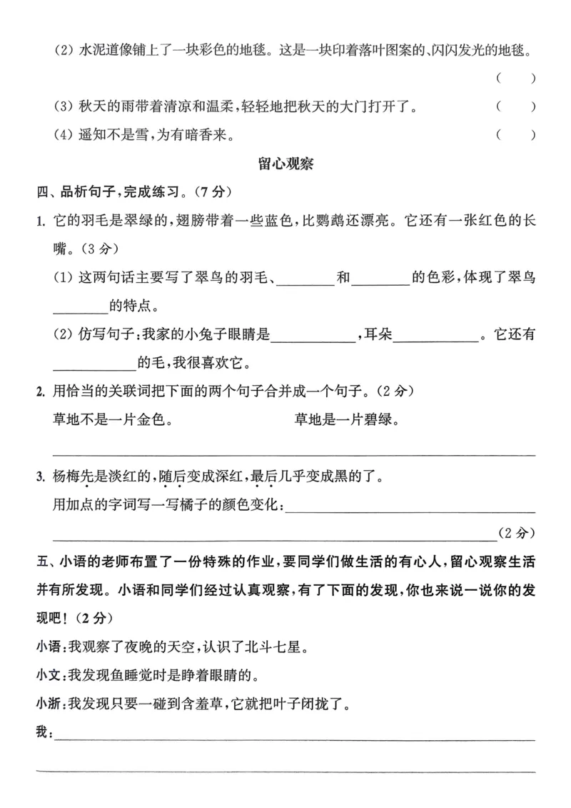 语文3年级上册：拔尖测评_25秋《拔尖特训》小学语数英各版本_1-6年级语文人教版上册25秋《拔尖特训》_三年级语文人教版上册25秋《拔尖特训》