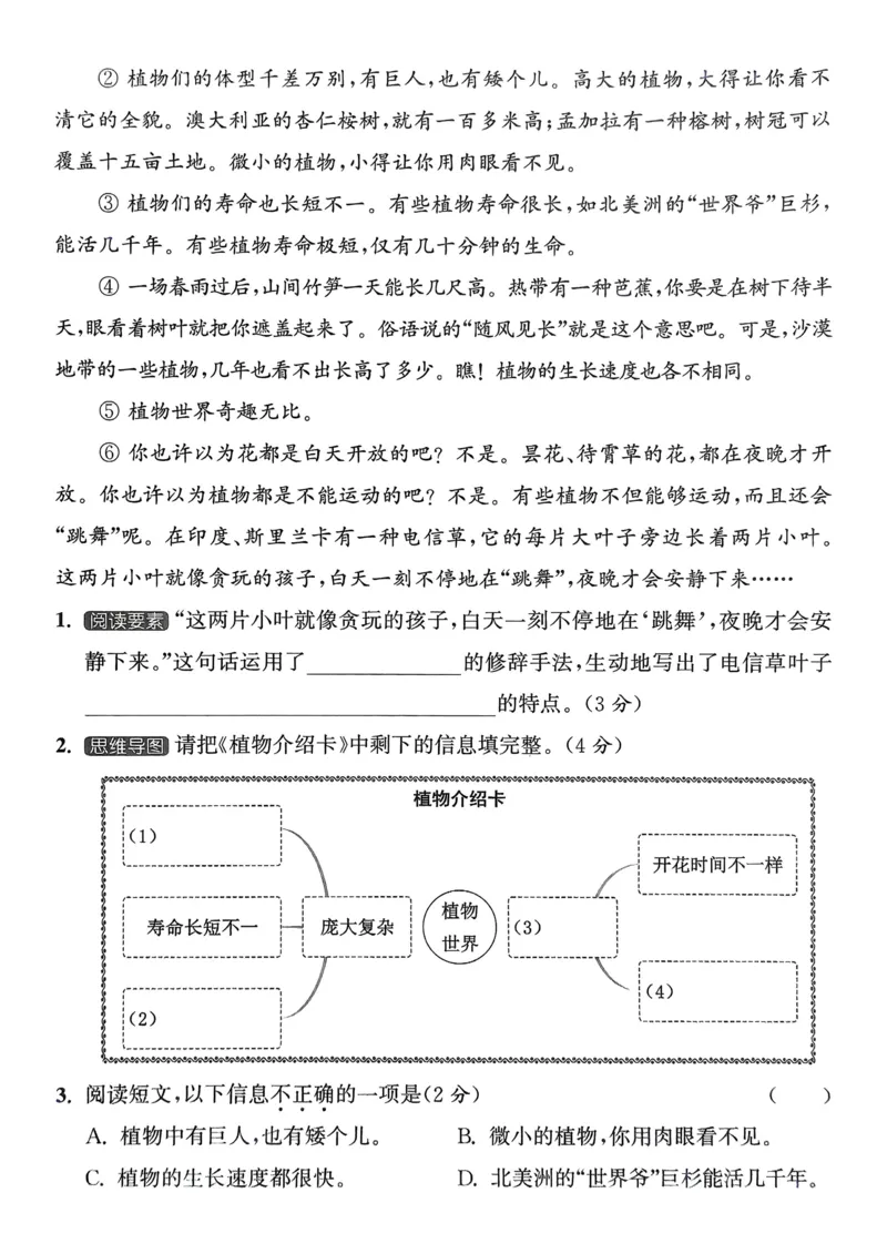 语文3年级上册：拔尖测评_25秋《拔尖特训》小学语数英各版本_1-6年级语文人教版上册25秋《拔尖特训》_三年级语文人教版上册25秋《拔尖特训》