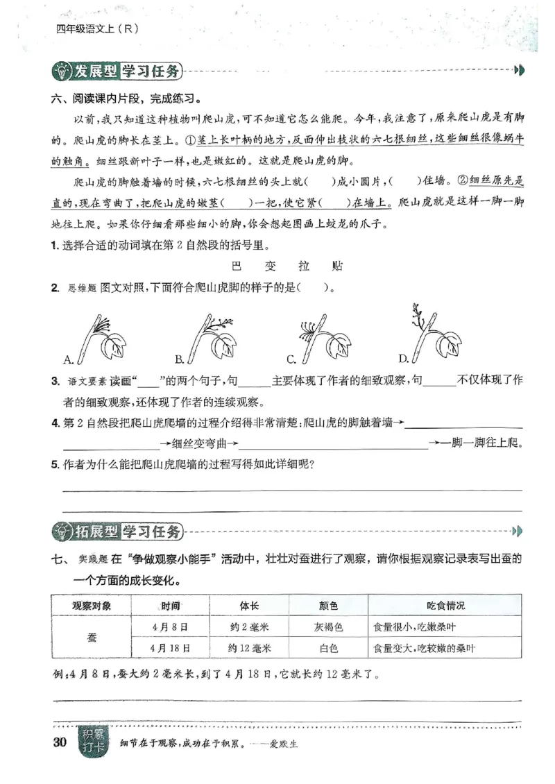 四年级语文上册人教版《黄冈小状元作业本》_25秋《黄冈小状元》系列_25秋1-6年级语文上册《黄冈小状元作业本》（有答案）