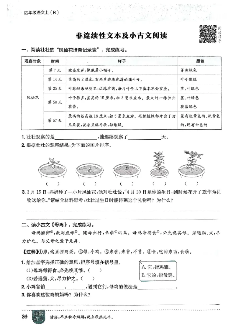 四年级语文上册人教版《黄冈小状元作业本》_25秋《黄冈小状元》系列_25秋1-6年级语文上册《黄冈小状元作业本》（有答案）