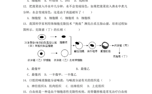 生物预备新初一期中暑假综合验收卷_25秋《一本》系列_25版一本系列_一本预备新初一小四门（政史生地）25年