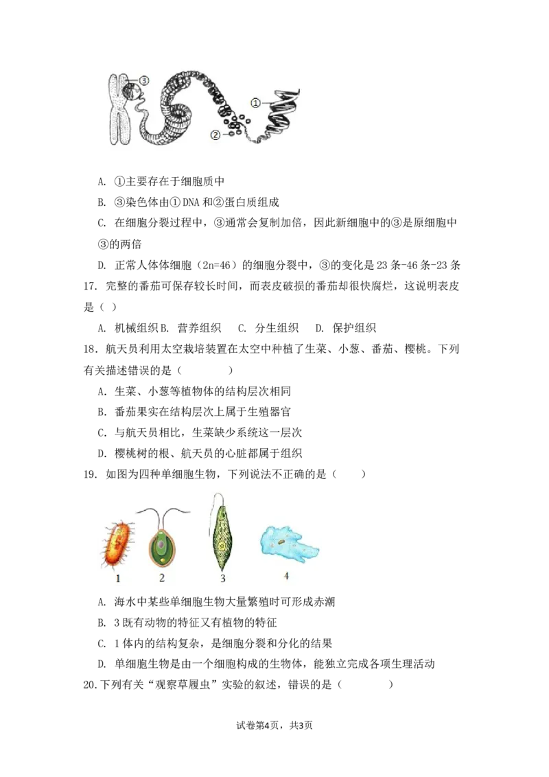 生物预备新初一期中暑假综合验收卷_25秋《一本》系列_25版一本系列_一本预备新初一小四门（政史生地）25年