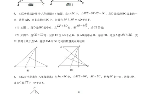 专练10几何压轴大题（10题）-八年级数学上学期期末考点必杀200题（北师大版）（原卷版）_北师大初中数学_8上-北师大版初中数学_旧版_05习题试卷_5专项练习