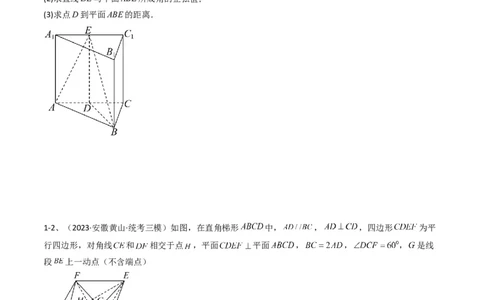 专题13运用空间向量研究立体几何问题（2）（原卷版）_02高考数学_2024年新高考资料_2.2024二轮复习_2024年高三数学二轮优化提优专题训练