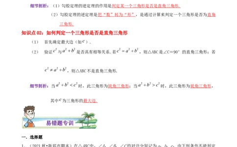 专题03勾股定理的逆定理综合题（解析版）_北师大初中数学_8上-北师大版初中数学_旧版_06专项讲练_培优方案2022-2023学年八年级数学上册章节重点复习考点讲义（北师大版）