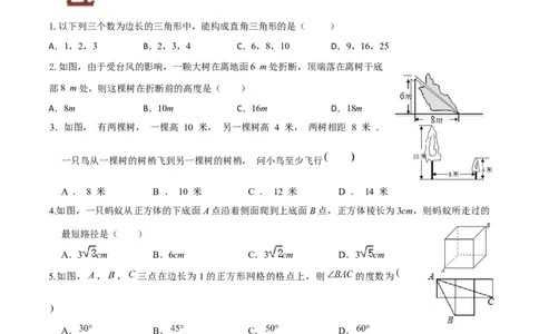 专题02勾股定理（二）（原卷版）-2021-2020学年八年级数学上册基础考点专题培优训练+重要题型小专题（北师大版）_北师大初中数学_8上-北师大版初中数学_旧版_06专项讲练
