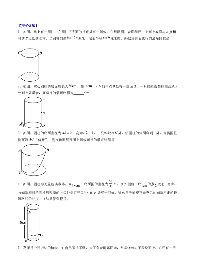 专题01利用勾股定理求最短路径问题的四种模型（高效培优专项训练）（学生版）_北师大初中数学_8上-北师大版初中数学_初中数学北师大8上-2025秋季新版_第二套推荐25_08专项讲练