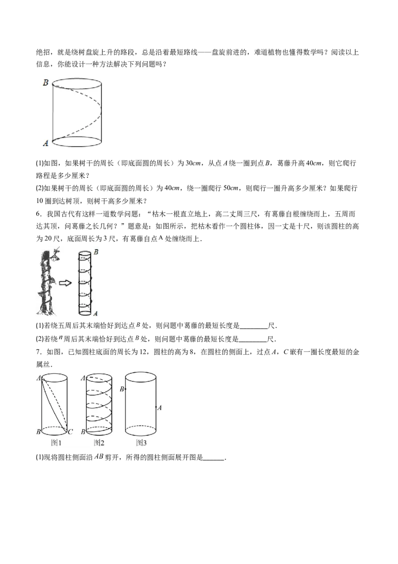 专题01利用勾股定理求最短路径问题的四种模型（高效培优专项训练）（学生版）_北师大初中数学_8上-北师大版初中数学_初中数学北师大8上-2025秋季新版_第二套推荐25_08专项讲练