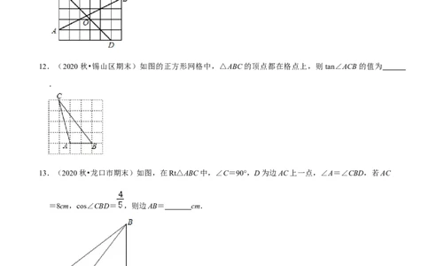 专题01锐角三角函数（原卷版）-挑战压轴题九年级数学下册压轴题专题精选汇编（北师大版）_北师大初中数学_9下-北师大版初中数学_06专项讲练