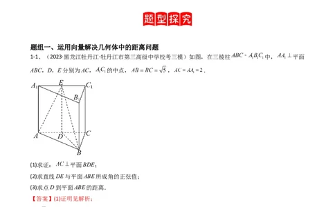 专题13运用空间向量研究立体几何问题（2）（解析版）_02高考数学_2024年新高考资料_2.2024二轮复习_2024年高三数学二轮优化提优专题训练