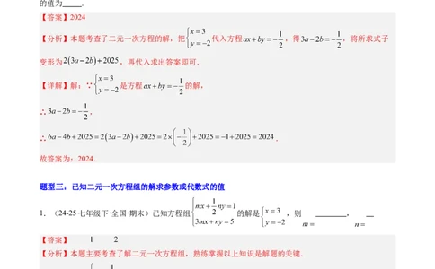 专题01二元一次方程（组）中含参数问题的五类热点题型（高效培优专项训练）数学北师大版八年级上册（解析版）_北师大初中数学_8上-北师大版初中数学_初中数学北师大8上-2025秋季新版